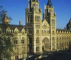 natural history museum